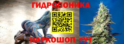 сатива Канаш