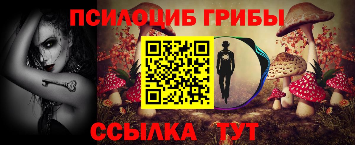 Тверь  Псилоцибиновые грибы мицелий  Вход с VPN 