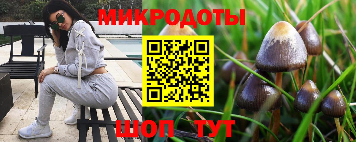 Псилоцибиновые грибы мицелий Тверь